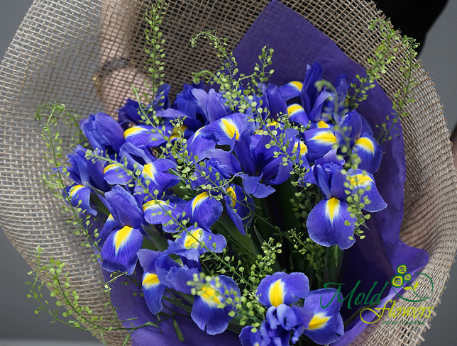 Buchet de irisi violet foto